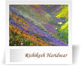 deccan-travels-corporation-rishikesh-Ghangaria-nashik