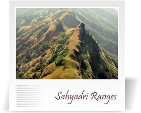 deccan-travels-corporation-sahyadri-ranges-nashik